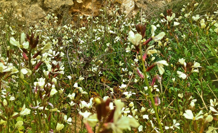 Review: Tools for&nbsp;Teaching