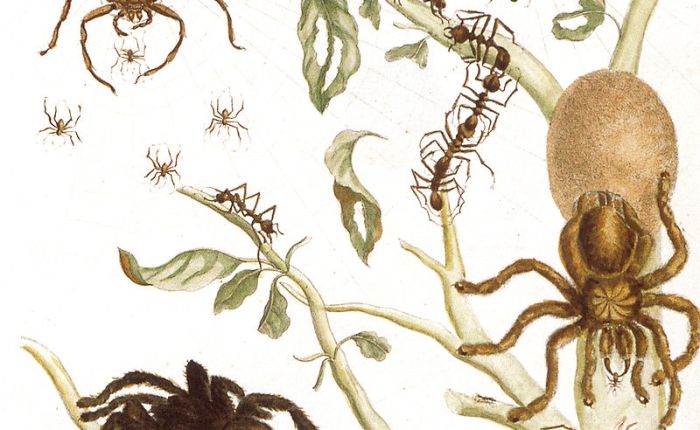 Review: The Righteous&nbsp;Mind