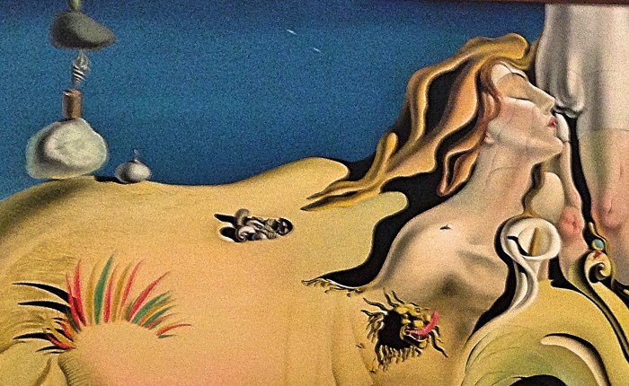 Review: Saldavor Dali