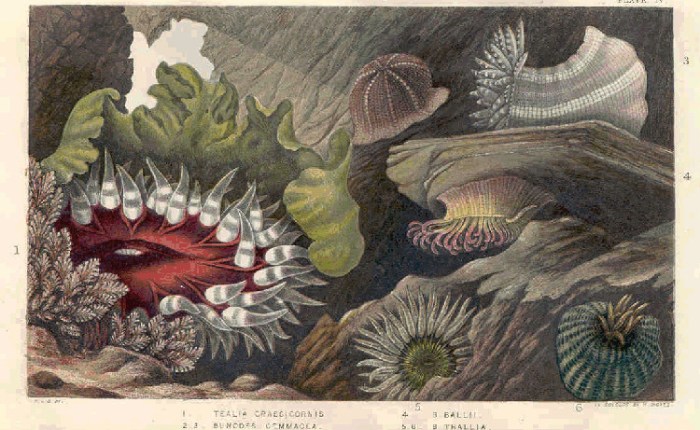 The Illogic of&nbsp;Discrimination