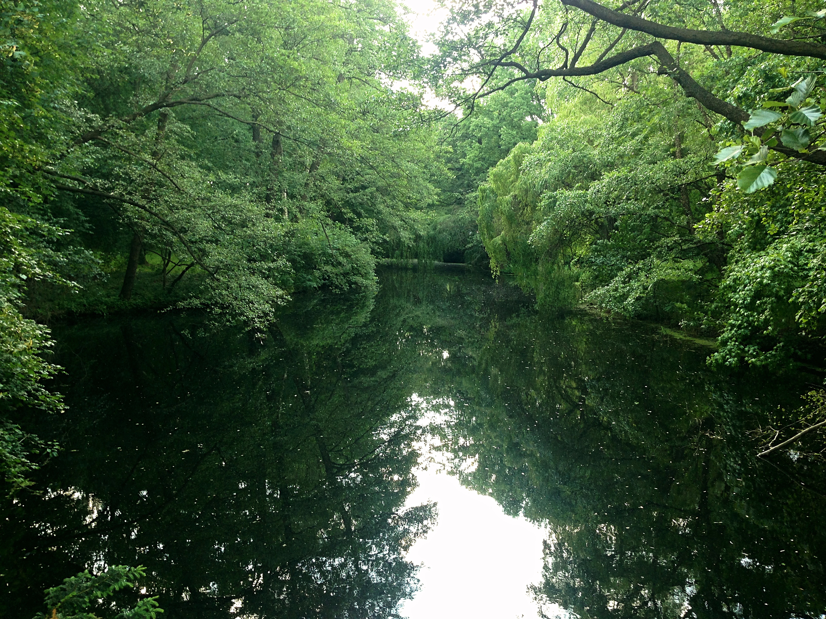Tiergarten