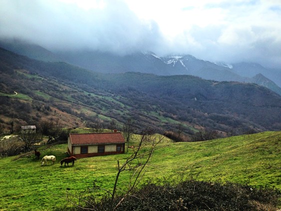 Asturias Mountains Horses