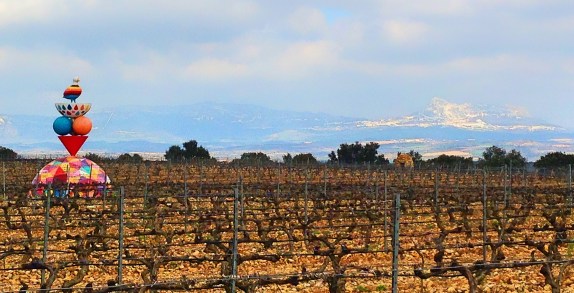 Logroño Vineyard