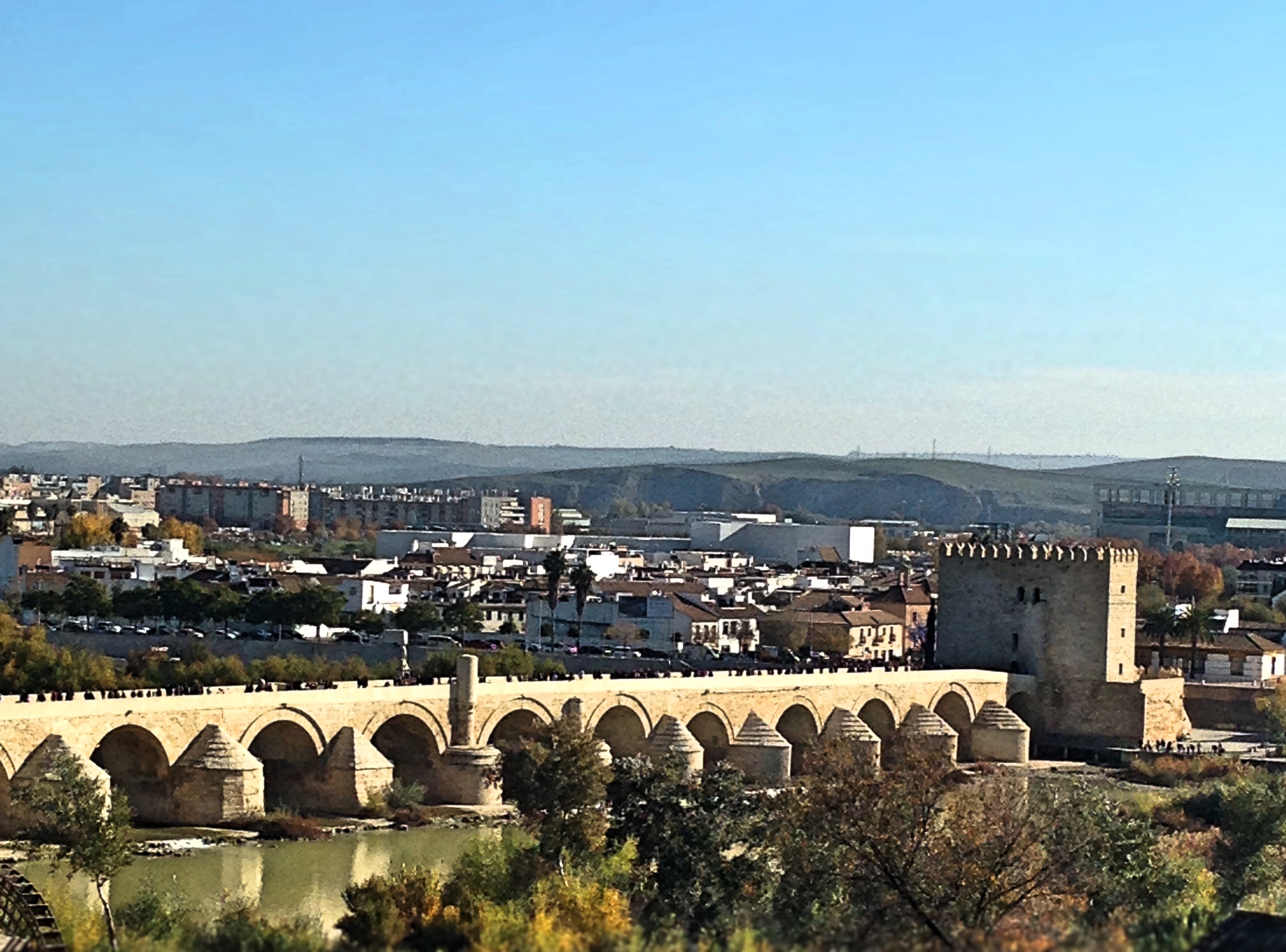 Cordoba_Bridge