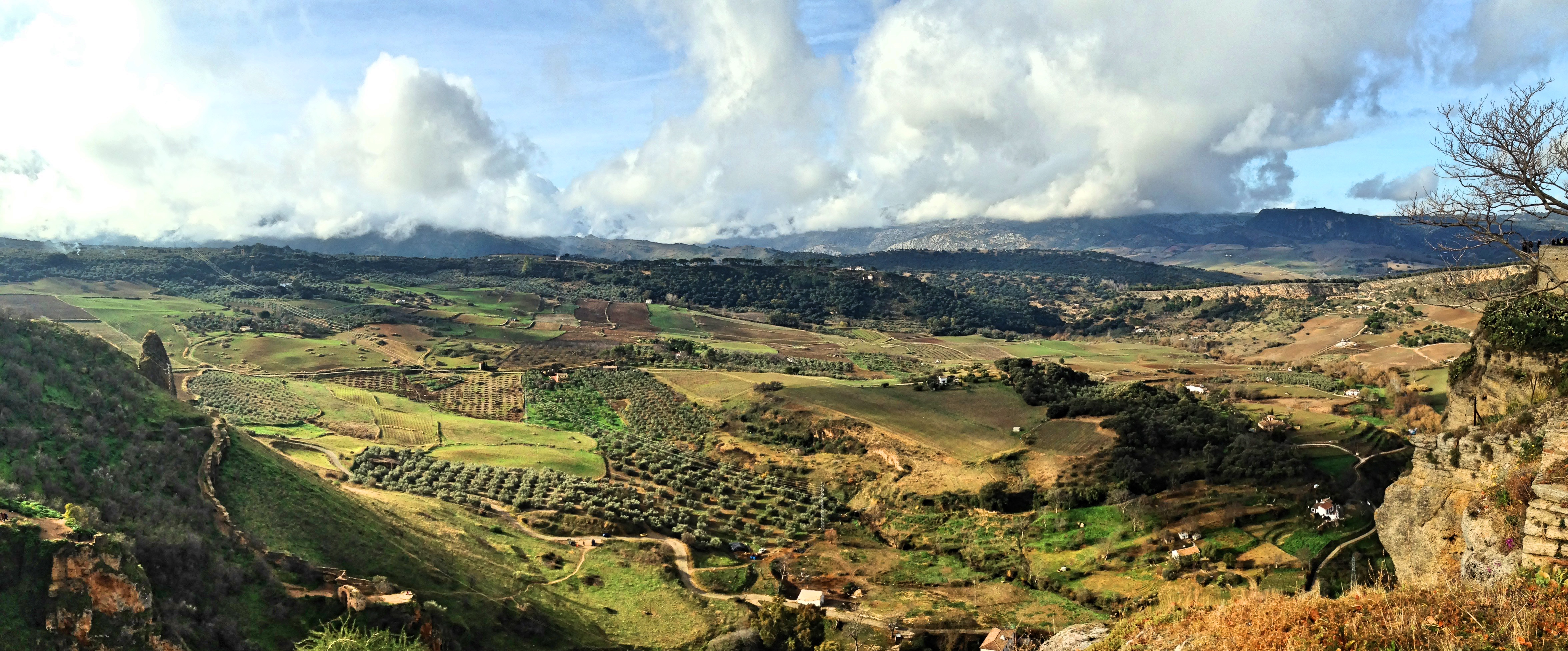 Ronda_Countryside
