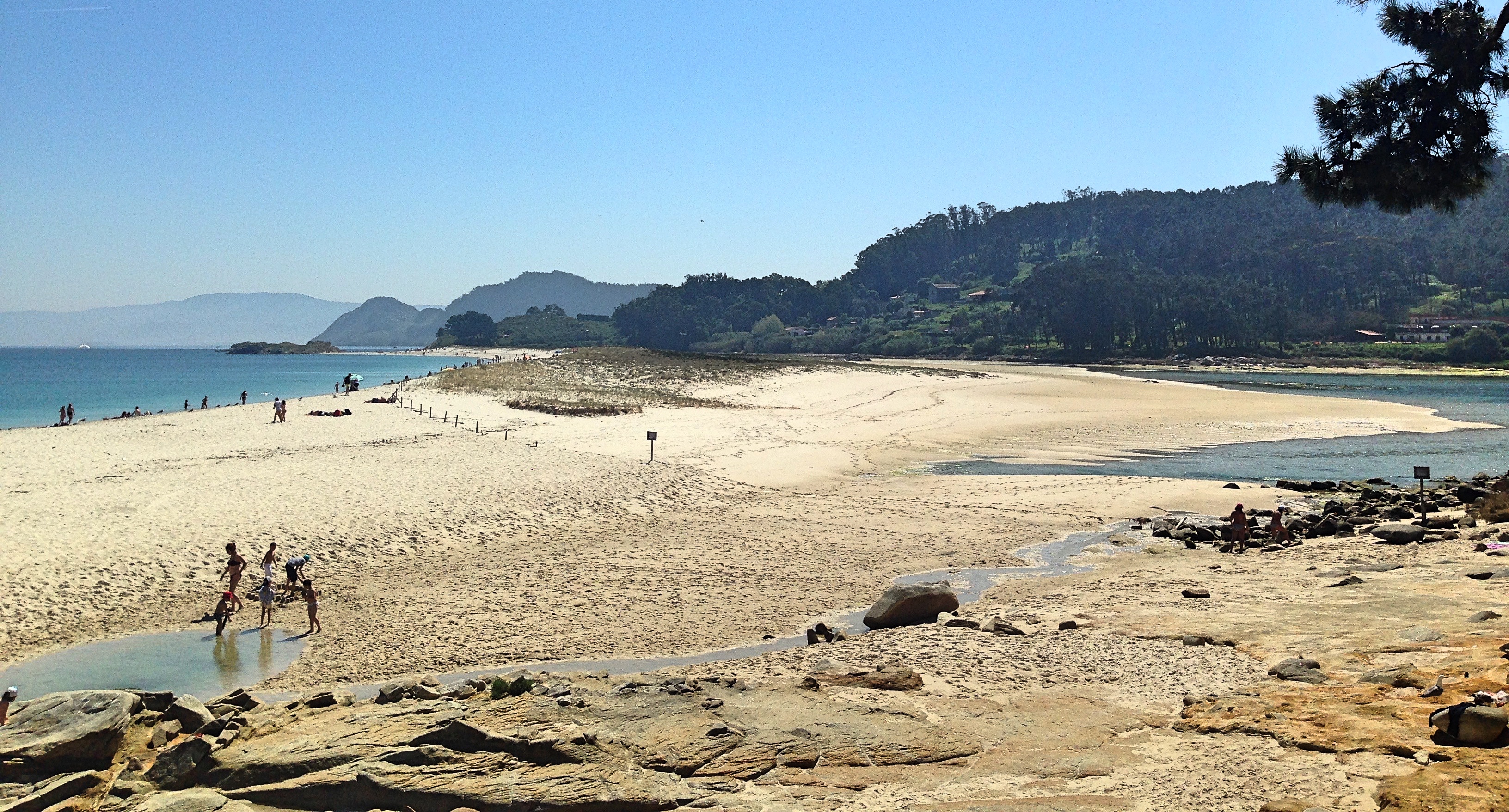 cies_beachback