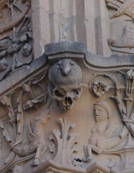 FrogSalamanca (Joseolgon3.0)