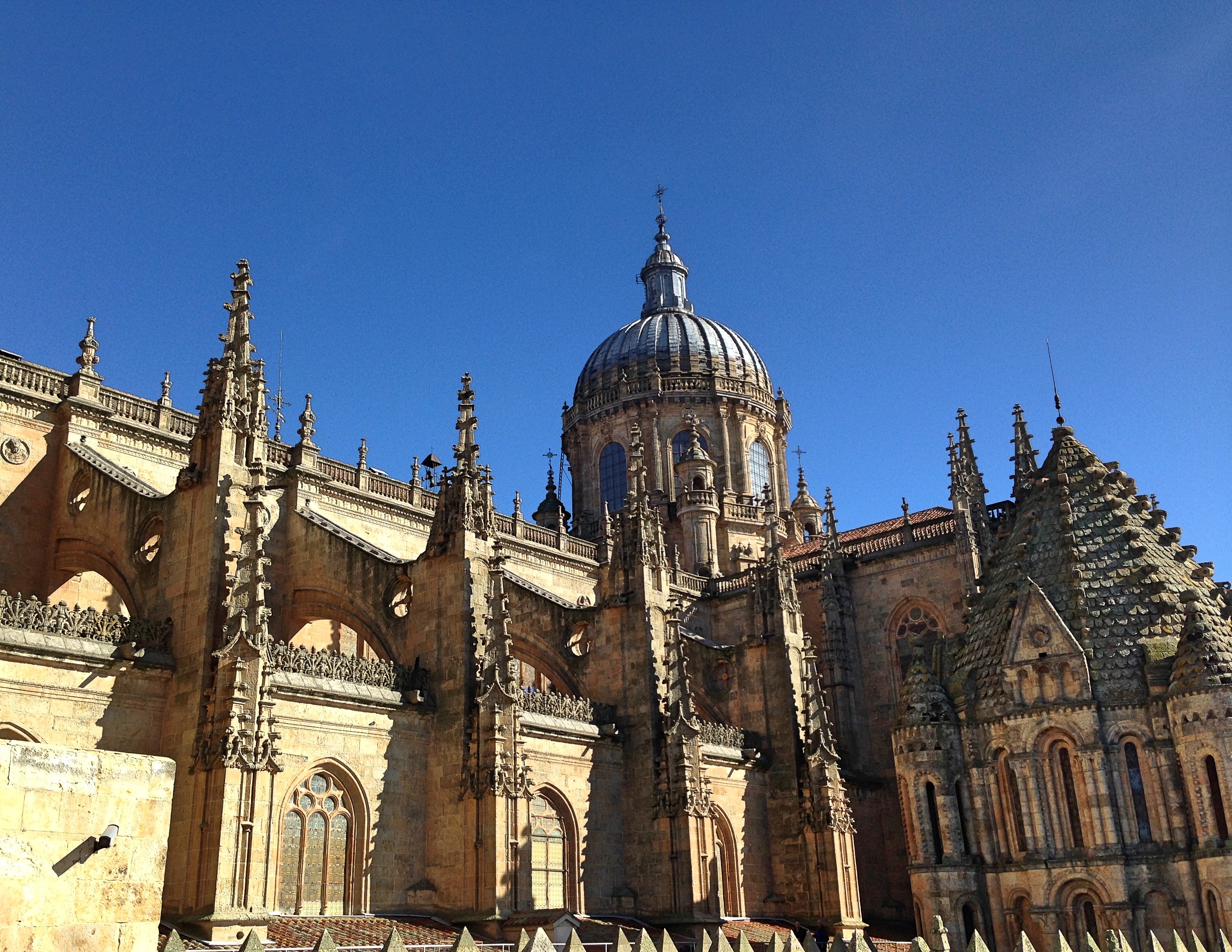 Salamanca_cathedralroof