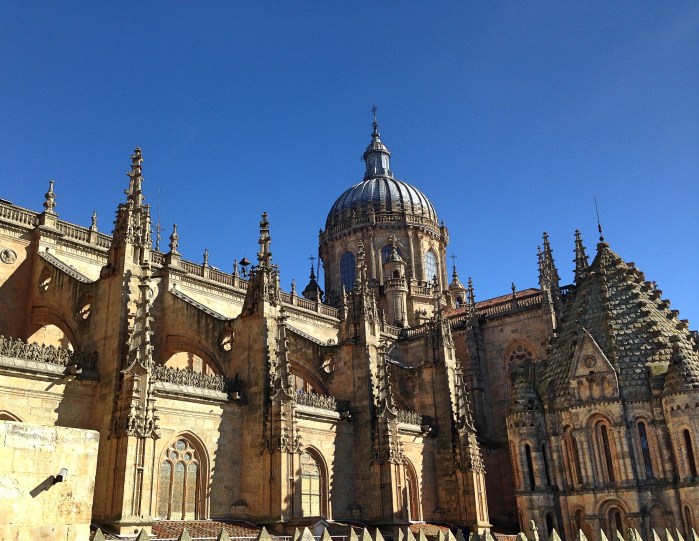 Salamanca_cathedralroof