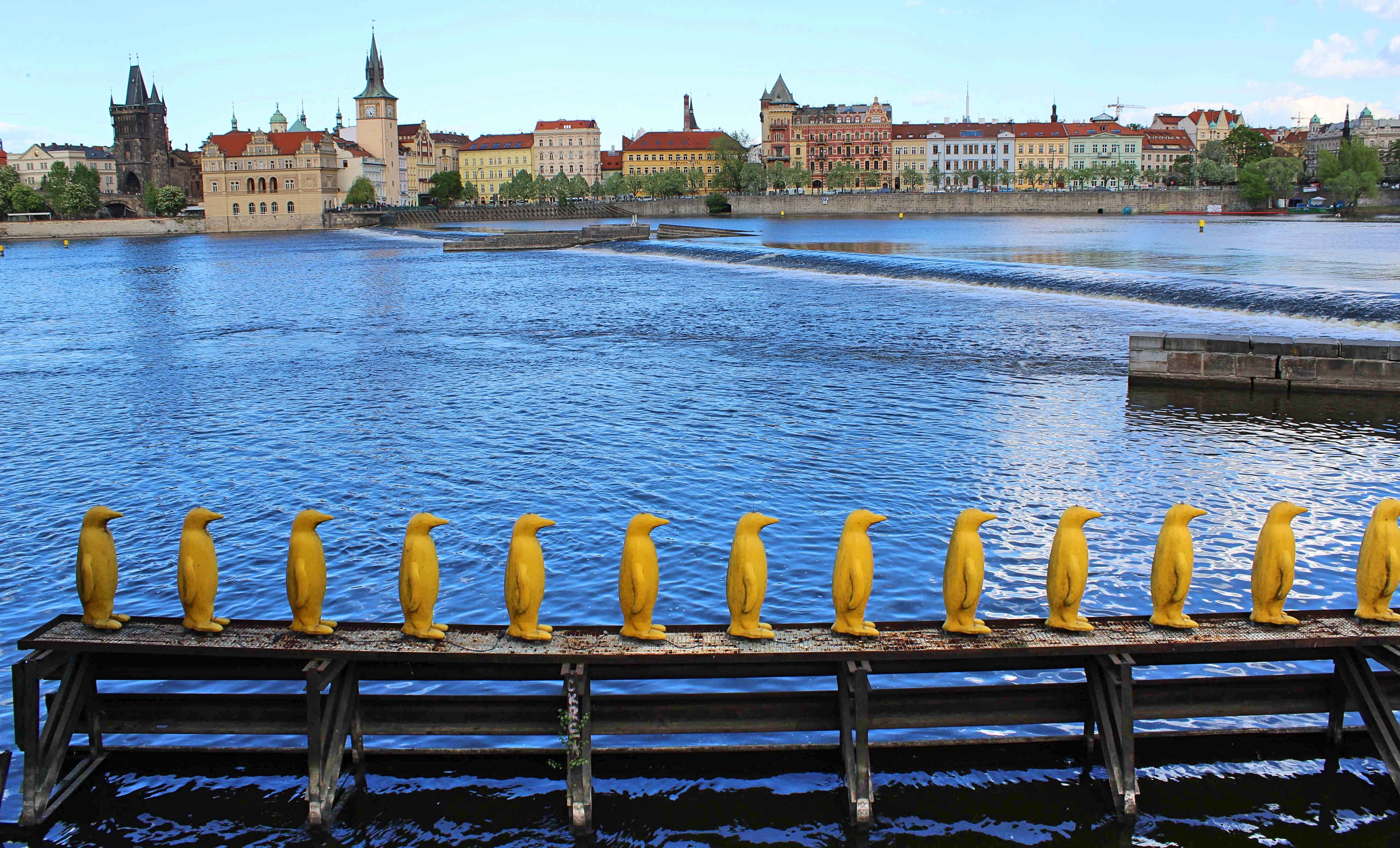 Prague_penguins