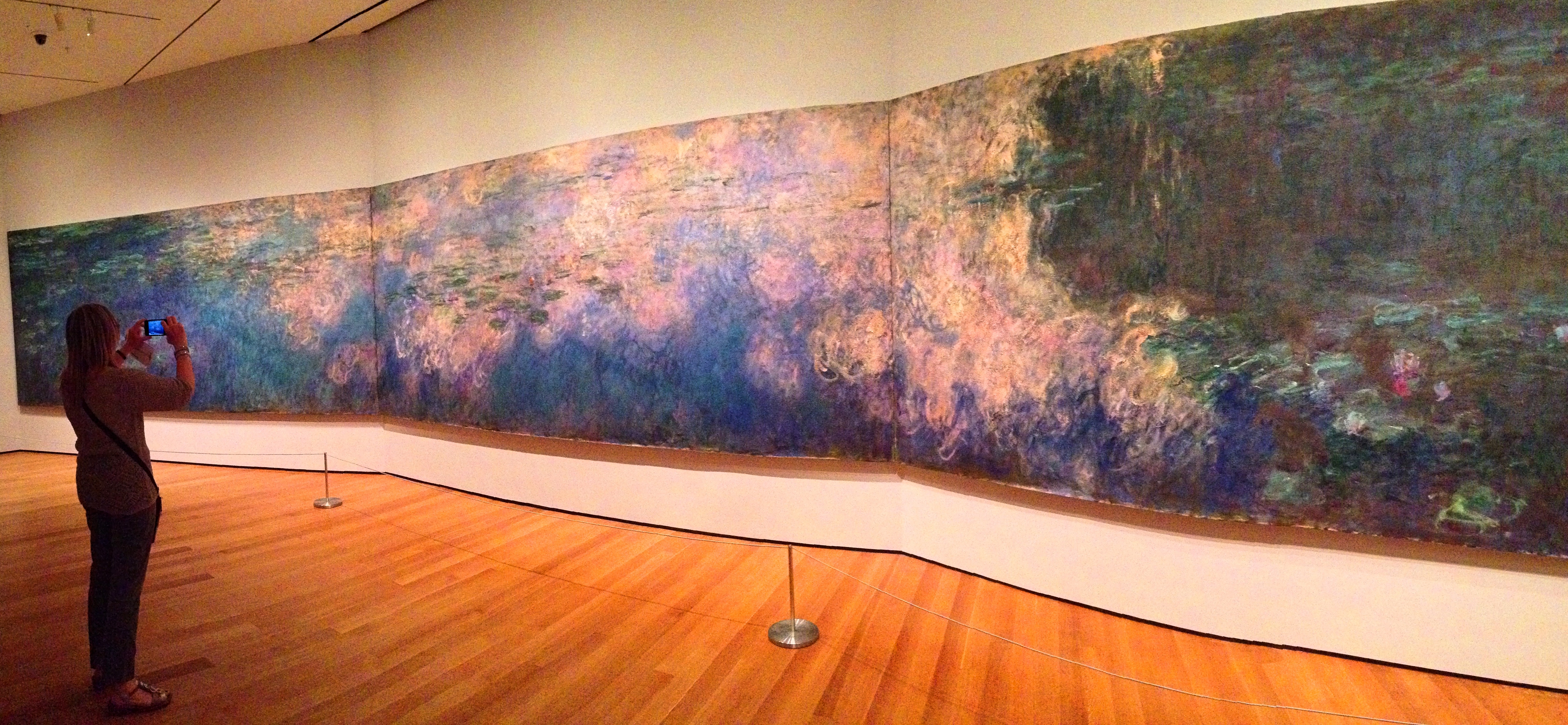 waterlilies_monet_moma