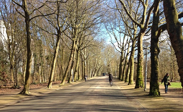 Amsterdam: the Beauty of Everyday&nbsp;Life