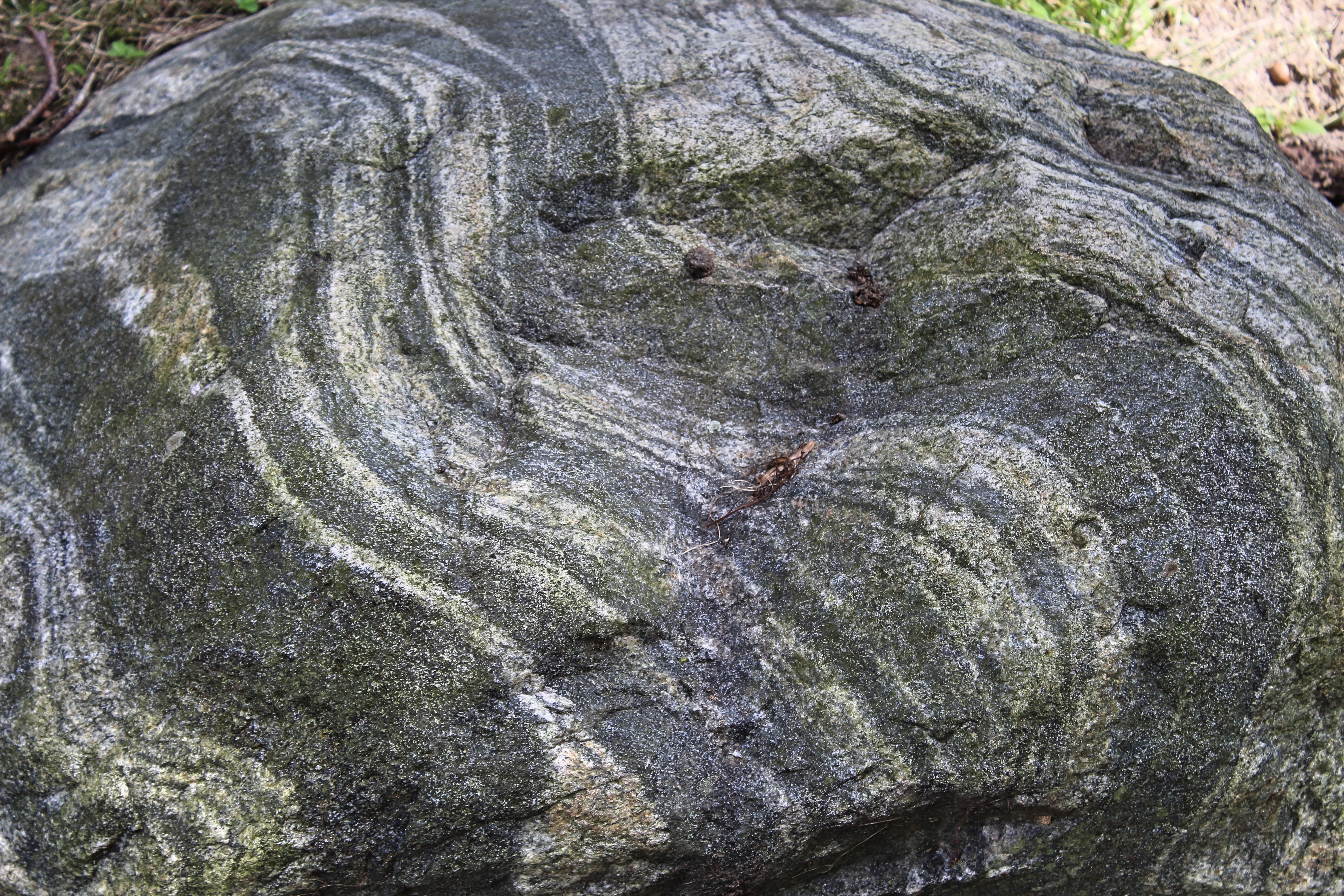 The Rockefeller State Park Preserve – Lotz in Translation