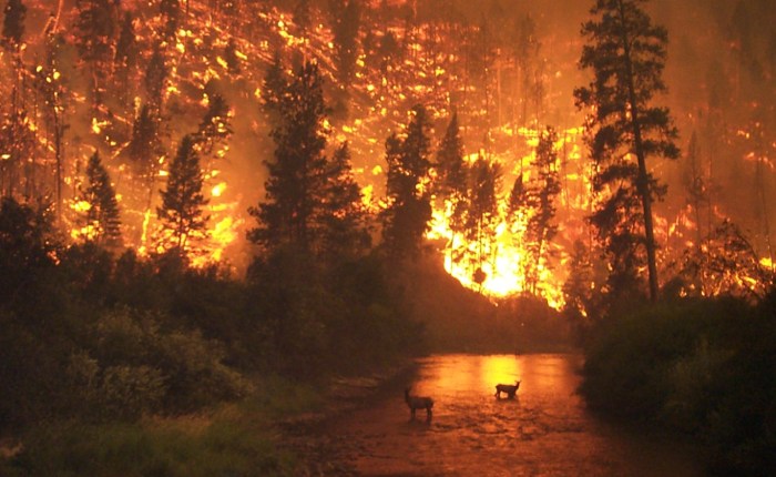 Review: The Uninhabitable&nbsp;Earth