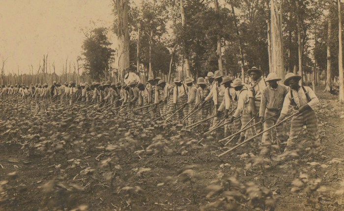 Review: The New Jim&nbsp;Crow