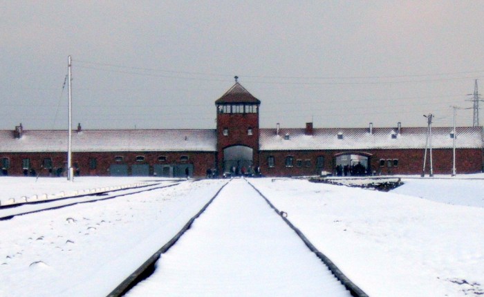 Review: Auschwitz, a New&nbsp;History