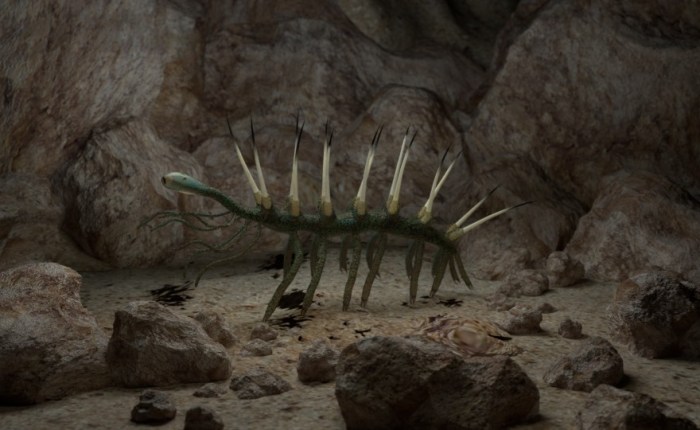 Review: Wonderful Life