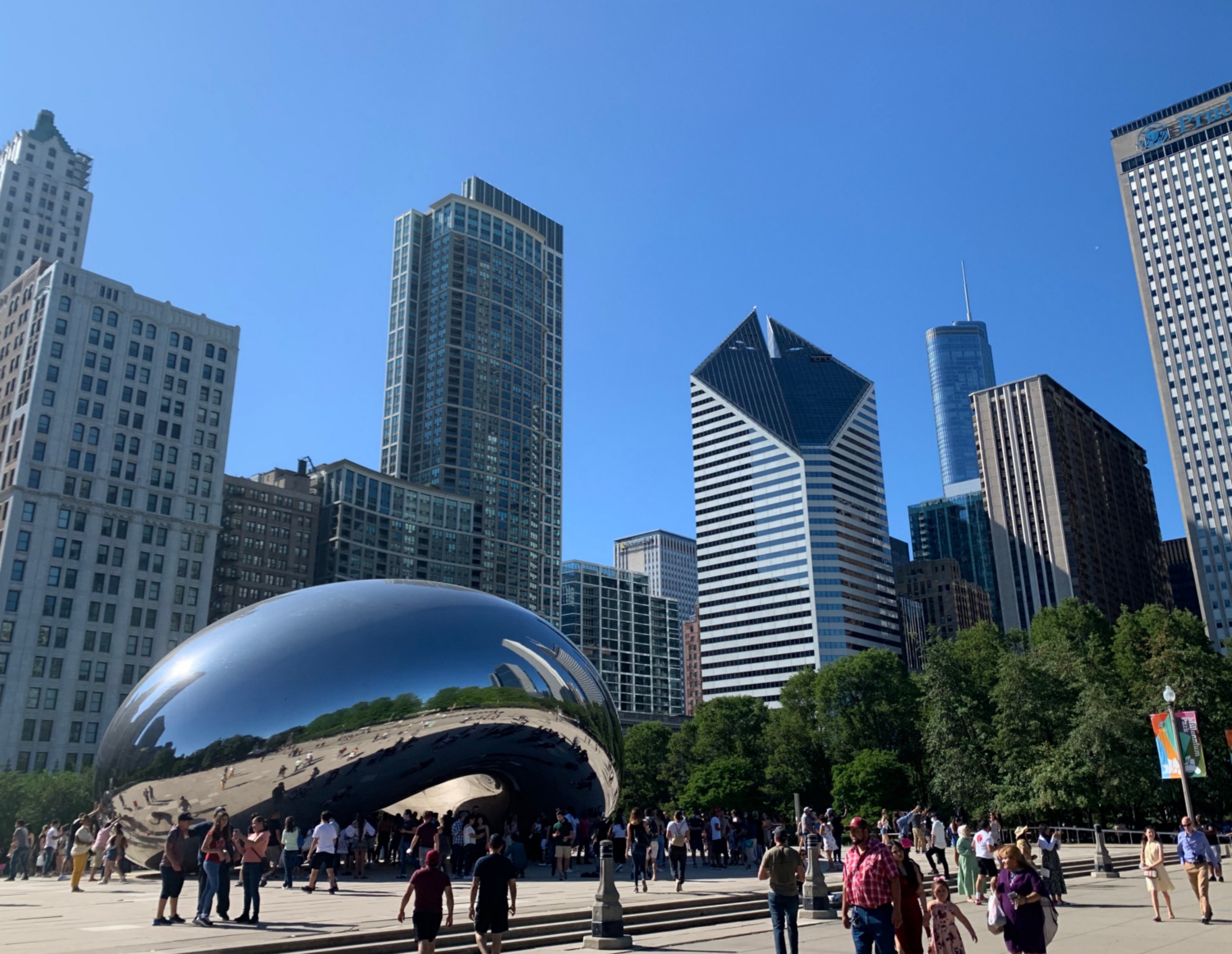 Chicago Sewage and Synchronicity Lotz in Translation
