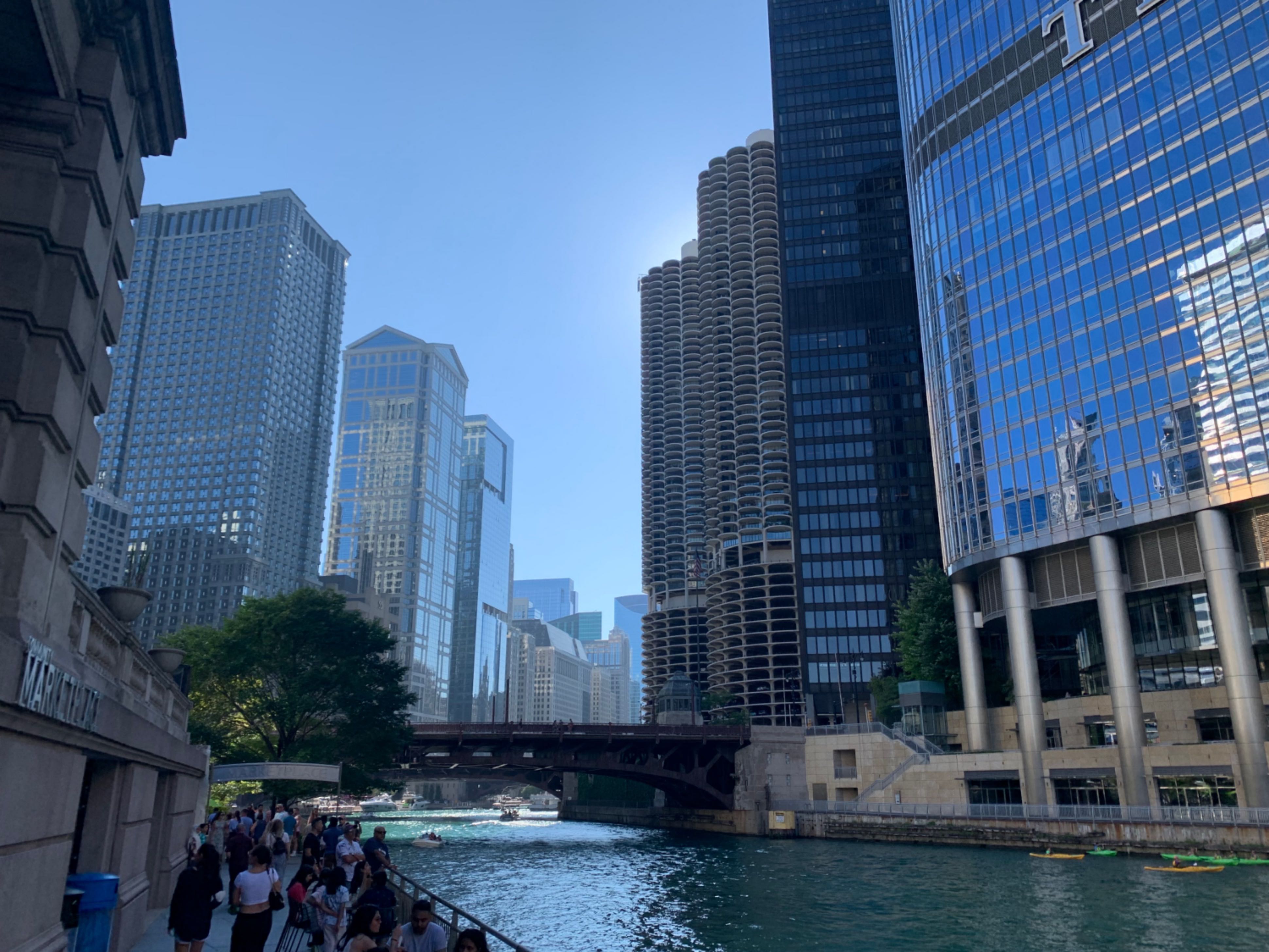 Chicago Sewage and Synchronicity Lotz in Translation