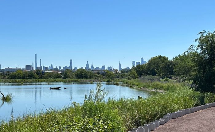 Collision 2025: The Joy of&nbsp;Losing